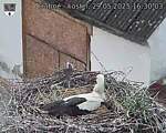 Capi_Dubne_20250529_163003.jpg