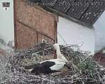 Capi_Dubne_20250529_164003.jpg