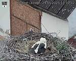 Capi_Dubne_20250529_171002.jpg