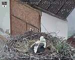 Capi_Dubne_20250529_173003.jpg