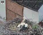 Capi_Dubne_20250529_181503.jpg