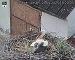Capi_Dubne_20250529_182003.jpg