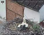 Capi_Dubne_20250529_183004.jpg