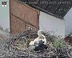 Capi_Dubne_20250529_184503.jpg