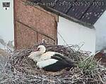 Capi_Dubne_20250529_203503.jpg