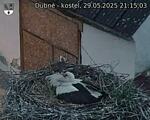 Capi_Dubne_20250529_211503.jpg