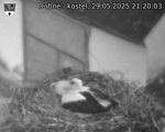 Capi_Dubne_20250529_212003.jpg