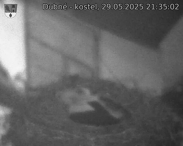 Capi_Dubne_20250529_213502.jpg (1350 x 1080)
