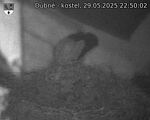 Capi_Dubne_20250529_225003.jpg