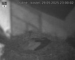 Capi_Dubne_20250529_230003.jpg