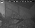 Capi_Dubne_20250530_012002.jpg