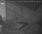 Capi_Dubne_20250530_013002.jpg