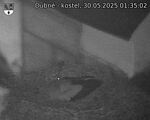 Capi_Dubne_20250530_013502.jpg