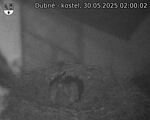 Capi_Dubne_20250530_020002.jpg