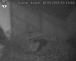 Capi_Dubne_20250530_031502.jpg