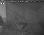 Capi_Dubne_20250530_032502.jpg
