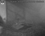 Capi_Dubne_20250530_033502.jpg