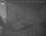 Capi_Dubne_20250530_035002.jpg