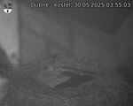 Capi_Dubne_20250530_035503.jpg
