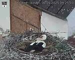 Capi_Dubne_20250530_092503.jpg