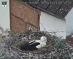 Capi_Dubne_20250530_095002.jpg