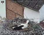 Capi_Dubne_20250530_101502.jpg