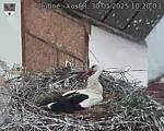 Capi_Dubne_20250530_102003.jpg