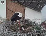 Capi_Dubne_20250530_104502.jpg
