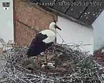 Capi_Dubne_20250530_105502.jpg