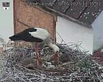 Capi_Dubne_20250530_113502.jpg