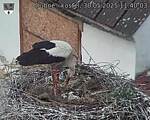 Capi_Dubne_20250530_114003.jpg