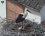 Capi_Dubne_20250530_120502.jpg