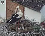 Capi_Dubne_20250530_121003.jpg