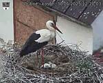 Capi_Dubne_20250530_122003.jpg