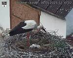 Capi_Dubne_20250530_123002.jpg