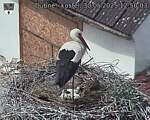 Capi_Dubne_20250530_125003.jpg