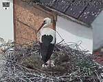 Capi_Dubne_20250530_130003.jpg