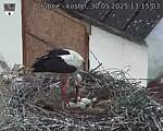 Capi_Dubne_20250530_131503.jpg