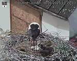 Capi_Dubne_20250530_132003.jpg