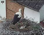 Capi_Dubne_20250530_133003.jpg