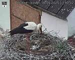 Capi_Dubne_20250530_134002.jpg