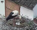 Capi_Dubne_20250530_135503.jpg