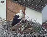 Capi_Dubne_20250530_140003.jpg