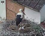 Capi_Dubne_20250530_141003.jpg