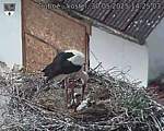 Capi_Dubne_20250530_142503.jpg
