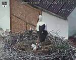 Capi_Dubne_20250530_143502.jpg