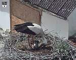 Capi_Dubne_20250530_144502.jpg