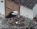 Capi_Dubne_20250530_151003.jpg