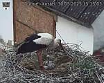 Capi_Dubne_20250530_151503.jpg