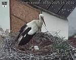 Capi_Dubne_20250530_152002.jpg
